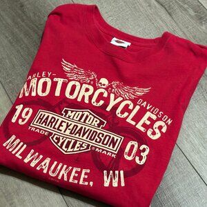 HARLEY DAVIDSON T-Shirt Men's XL  Milwaukee, WI and Asheville NC